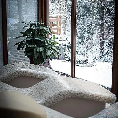 Hotel Promyk Wellness & Karpacz