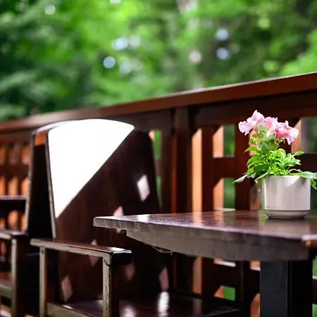 Hotel Promyk Wellness &