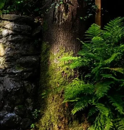 Otel Promyk Wellness &