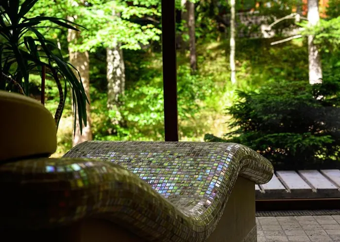 Promyk Wellness&spa 3* Karpacz