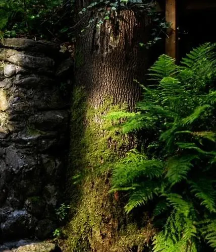 Отель Promyk Wellness &