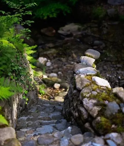 Promyk Wellness&spa Hotel 3*